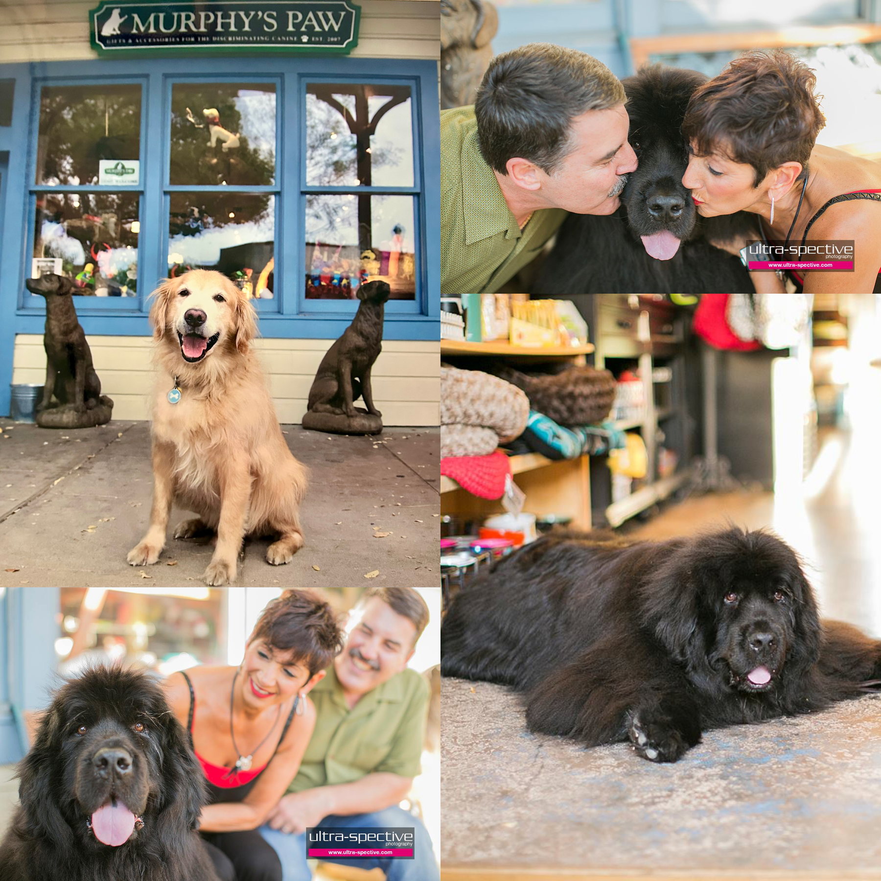 Murphy's Paw business photo